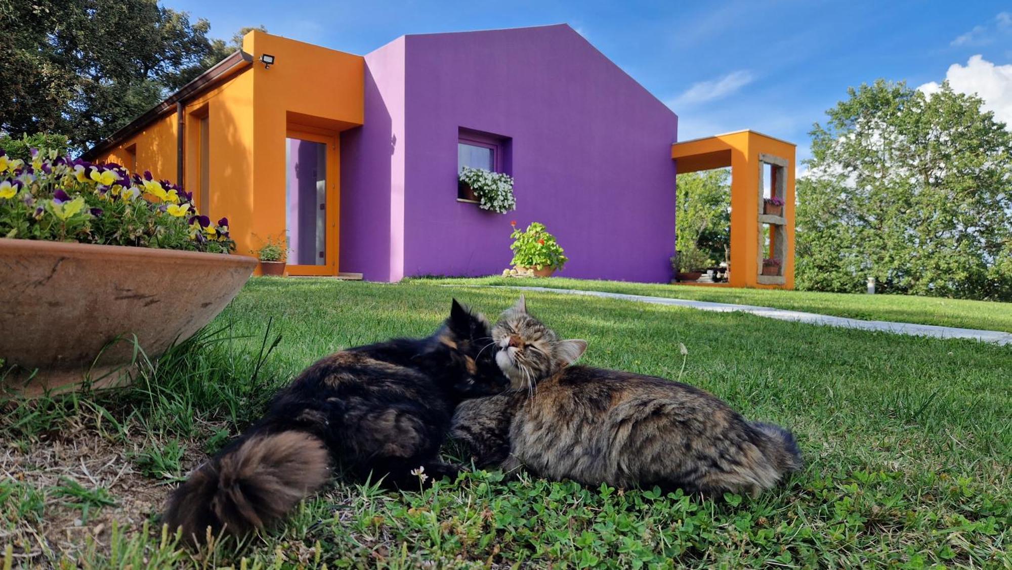 Hotel Limbara Dreaming Tempio Pausania Exterior foto